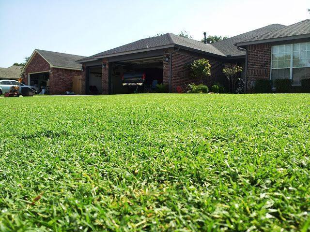 Perspective photo from the ground of a beautiful green lawn. One-story home in background.
